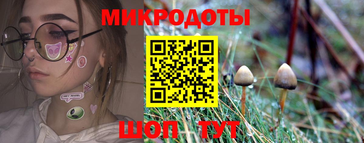 Псилоцибиновые грибы мухоморы Гулькевичи
