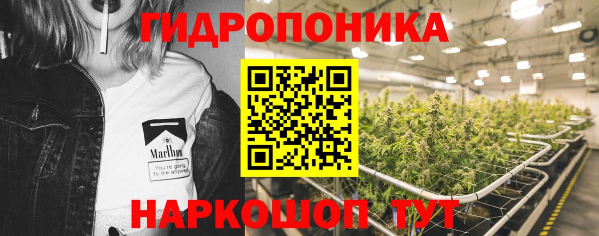 Марихуана сатива  Марихуана LSD WEED  Гулькевичи  Вход с VPN  Бошки марихуана гибрид 